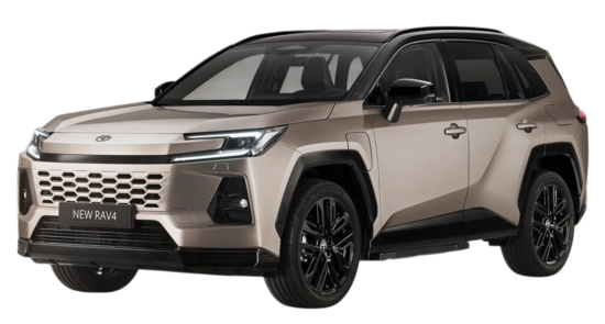 Rav4 5.2025 - ...